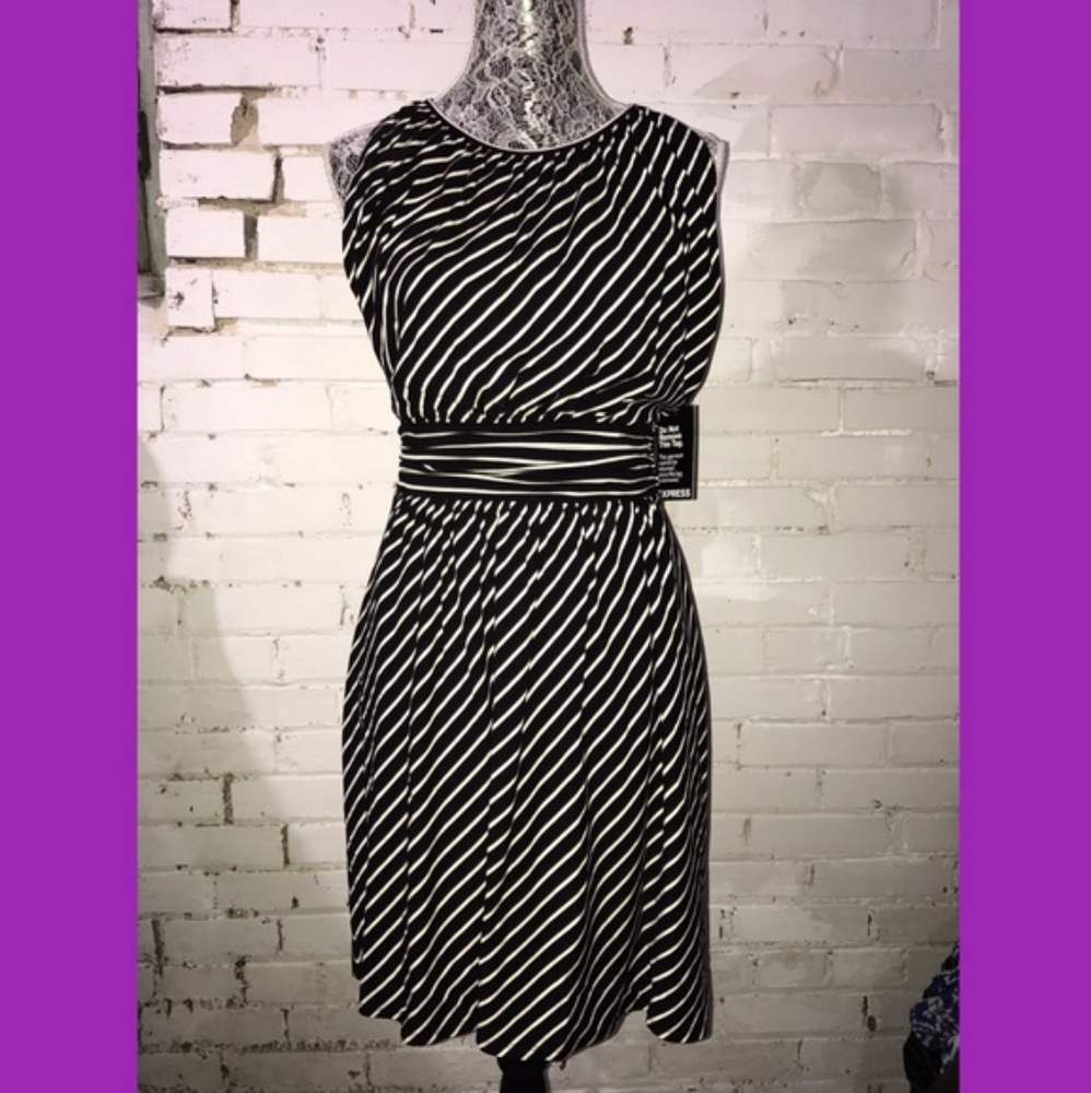 NWT Express dress